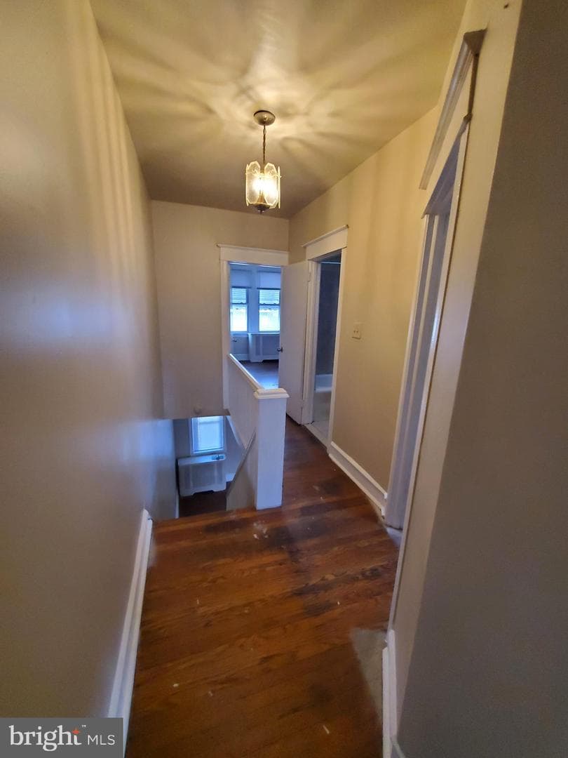 4043 Castor Avenue photo 25