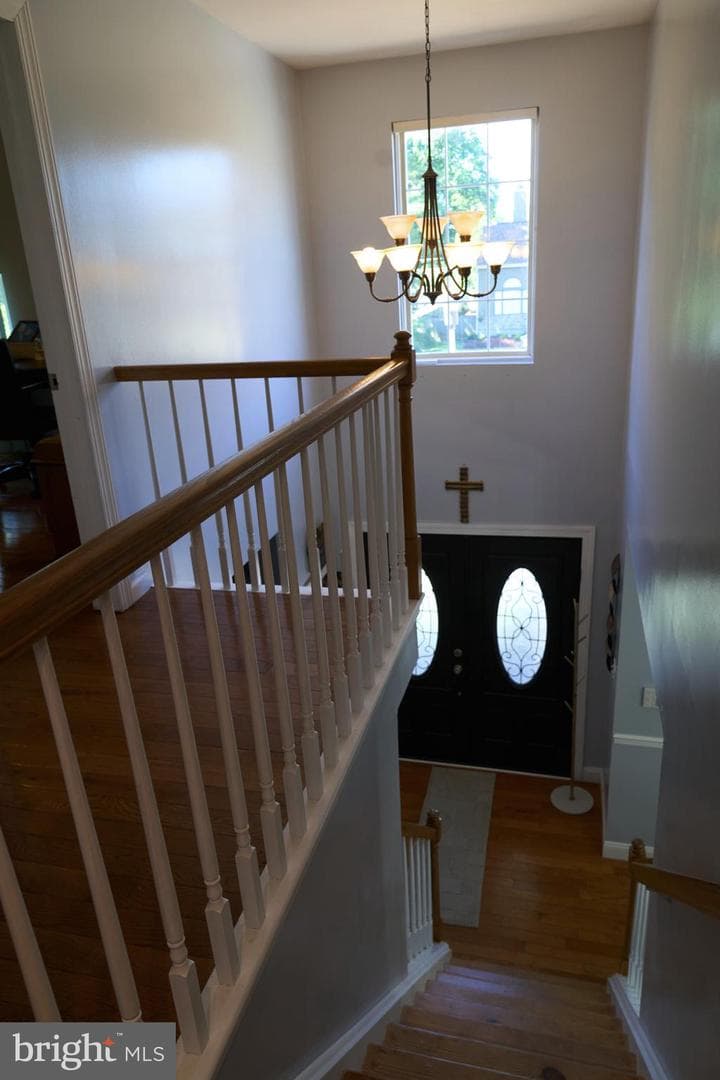 8905 Springview Road photo 53