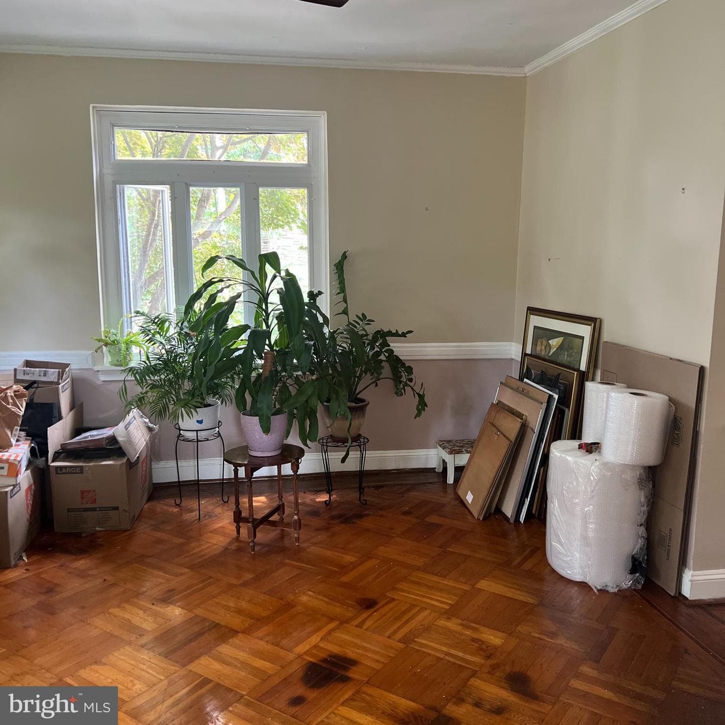 6903 Cherokee Street photo 7