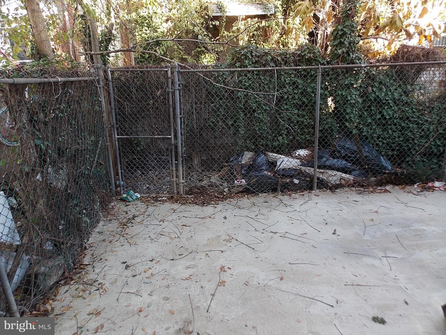 5619 Arch Street photo 8