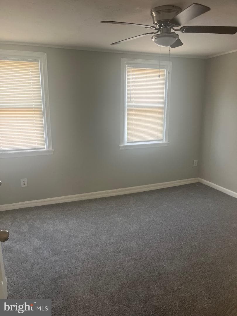 4559 Aldine Street photo 10