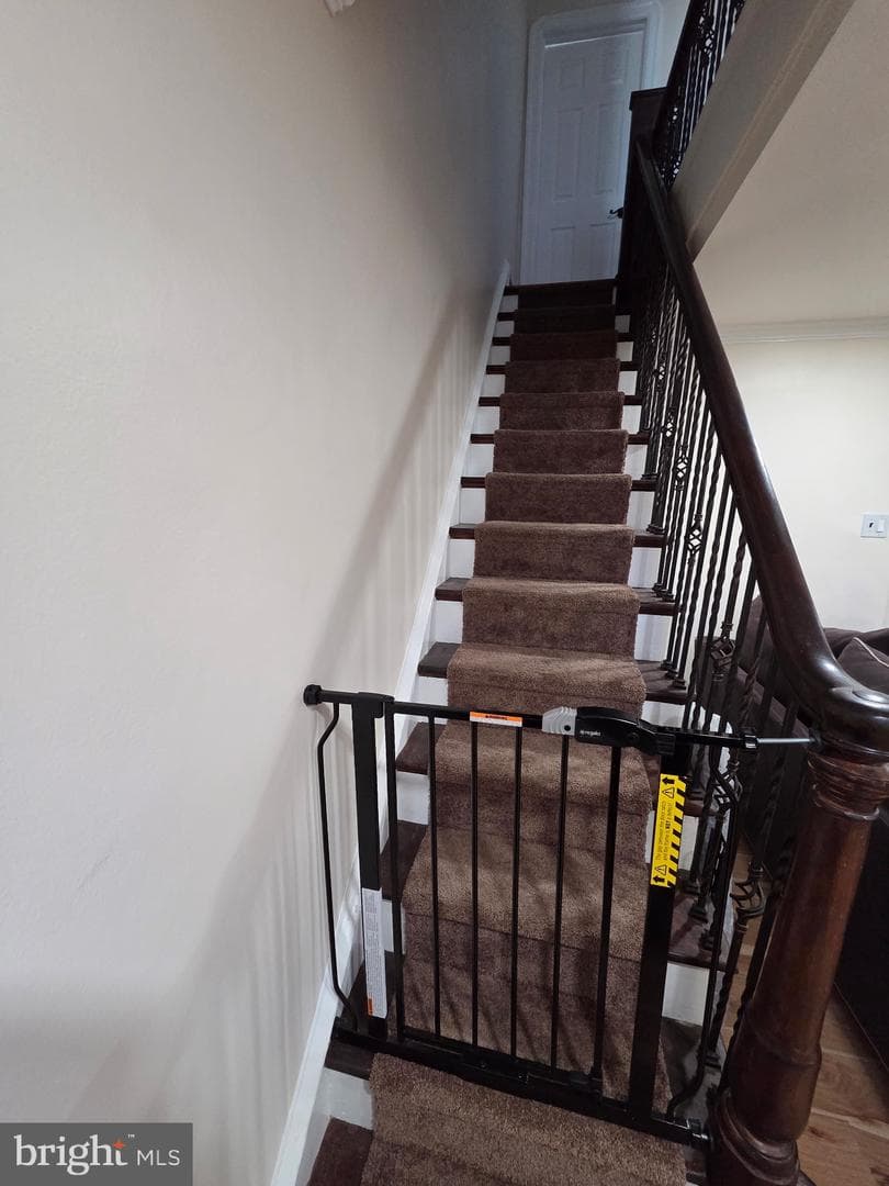 448 Robbins Street photo 6