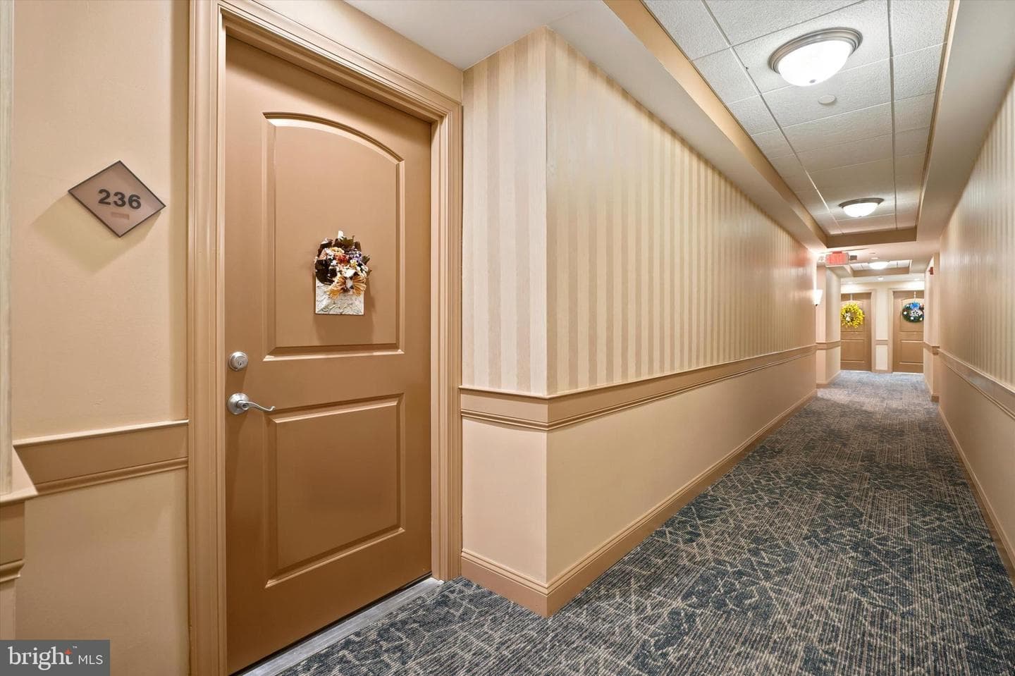 200 Ernest Way #236 photo 5