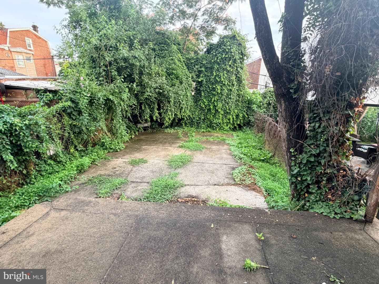 132 Delphine Street photo 13