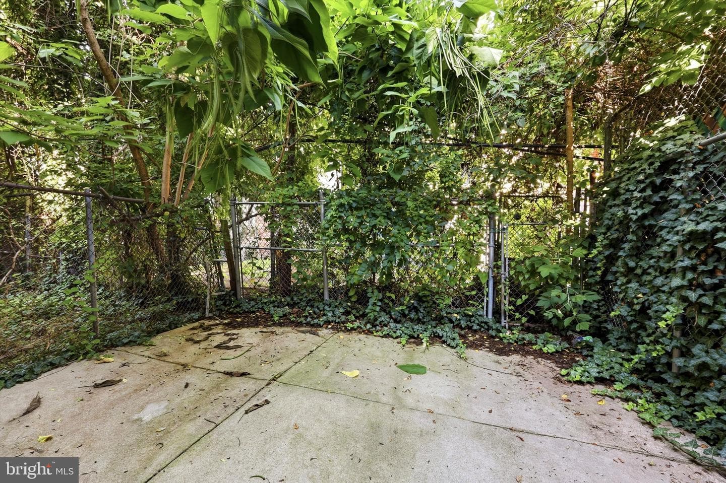 1326 N Wanamaker St photo 13