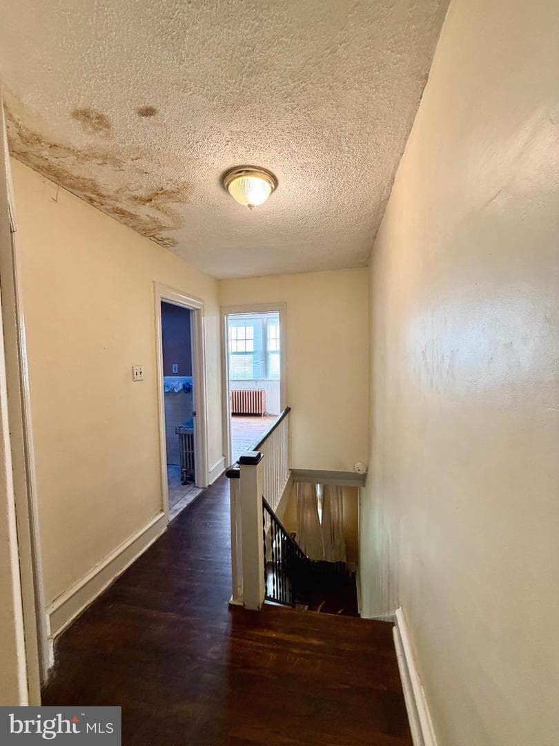 4115 Greeby Street photo 10