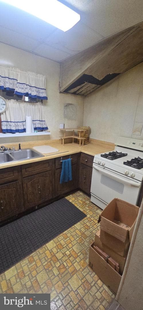 5 Willig Avenue photo 6