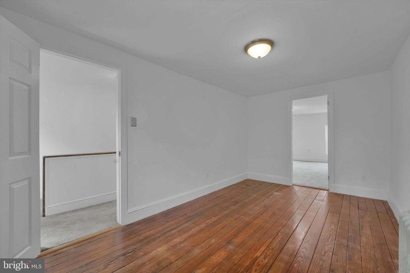 4135 Pechin Street photo 20