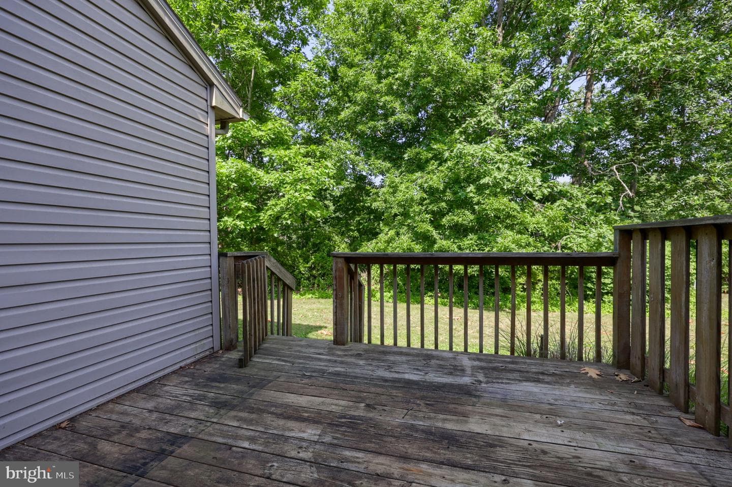 232 Whitetail Ter photo 27