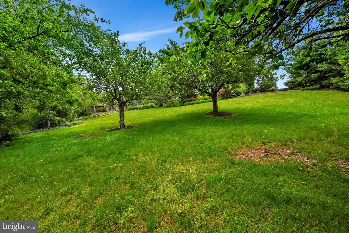 1161 Sunset Dr photo 80