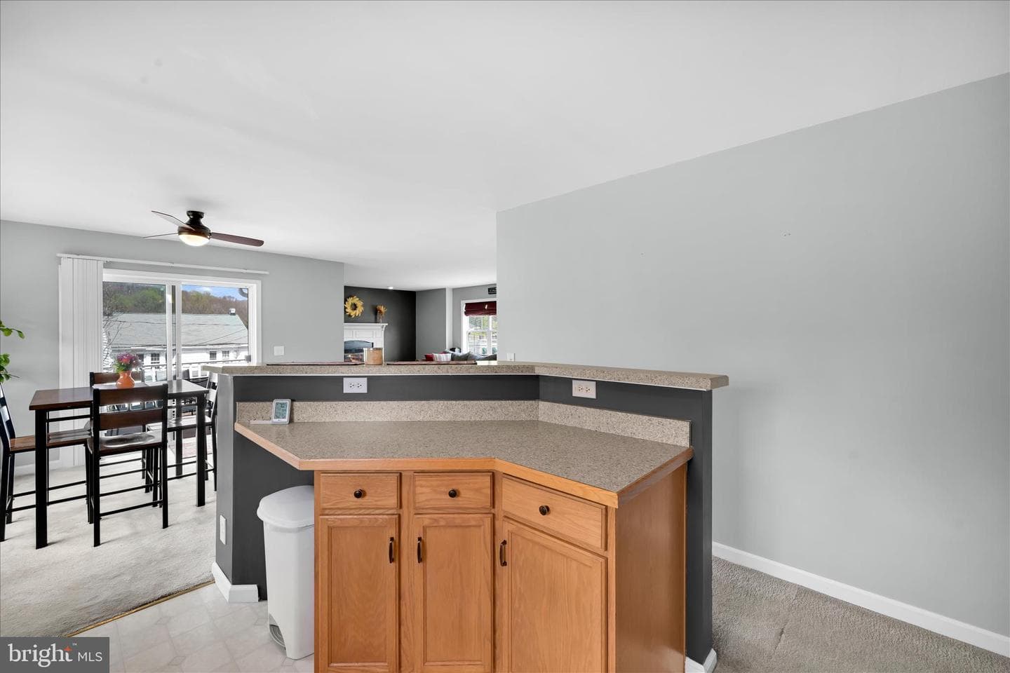 301 Brown Street photo 20
