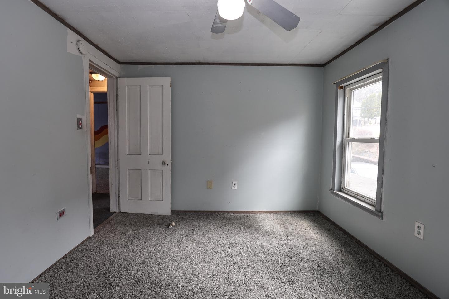 128 Spruce Street photo 26