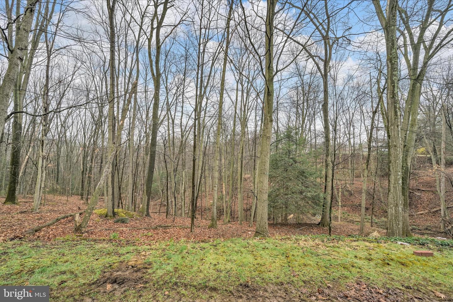 826 Pinewood Drive photo 32