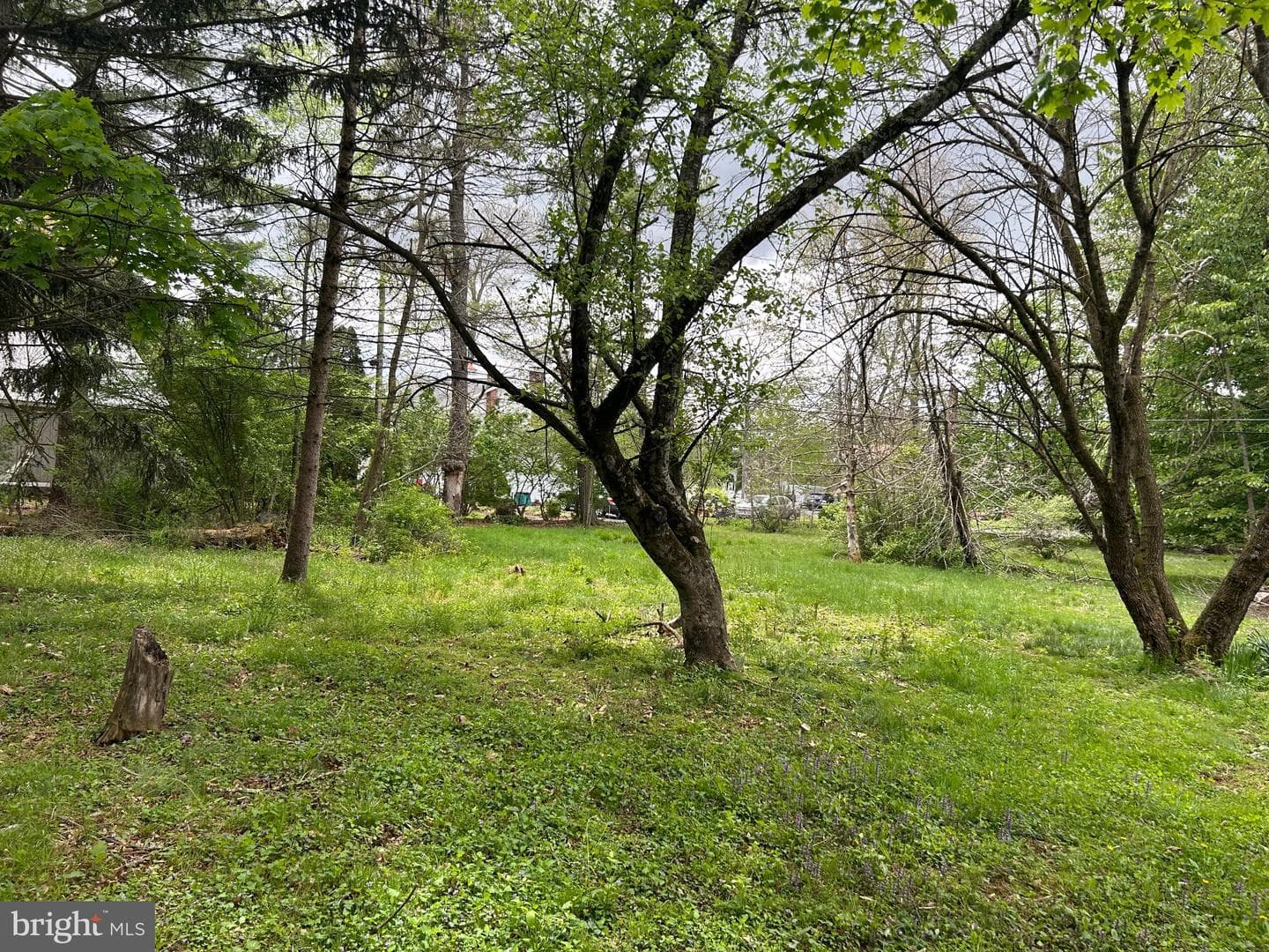 0 Maple Boulevard photo 8