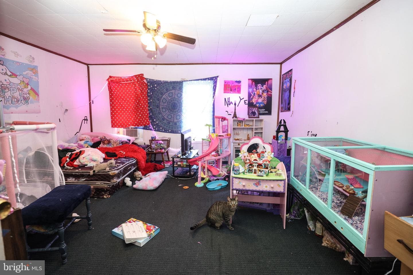 413 North Street photo 12
