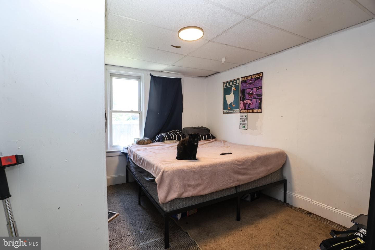 413 North Street photo 9