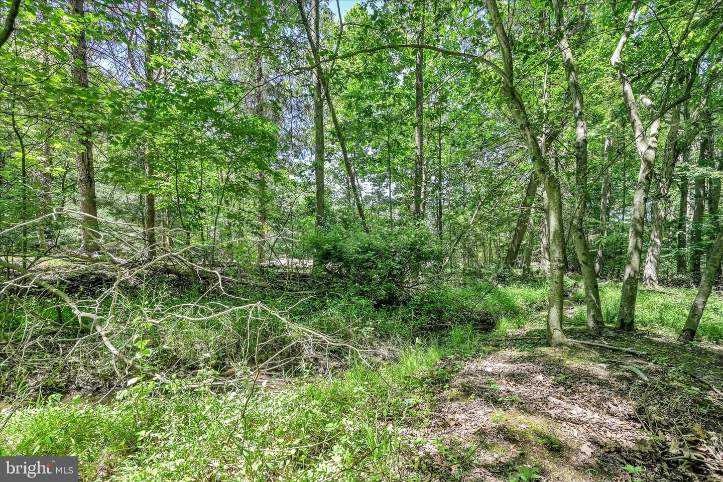 190 Brier City Road photo 33
