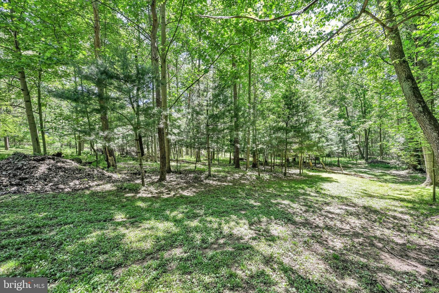 190 Brier City Road photo 34