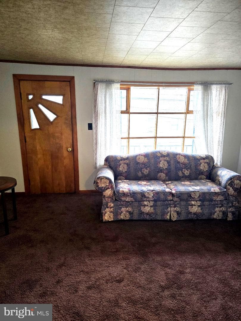142 Arnot Street photo 4
