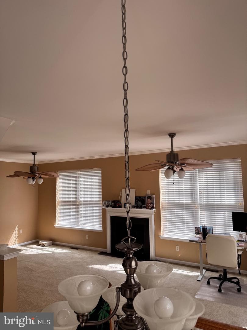 427 Marion Road #427 photo 34