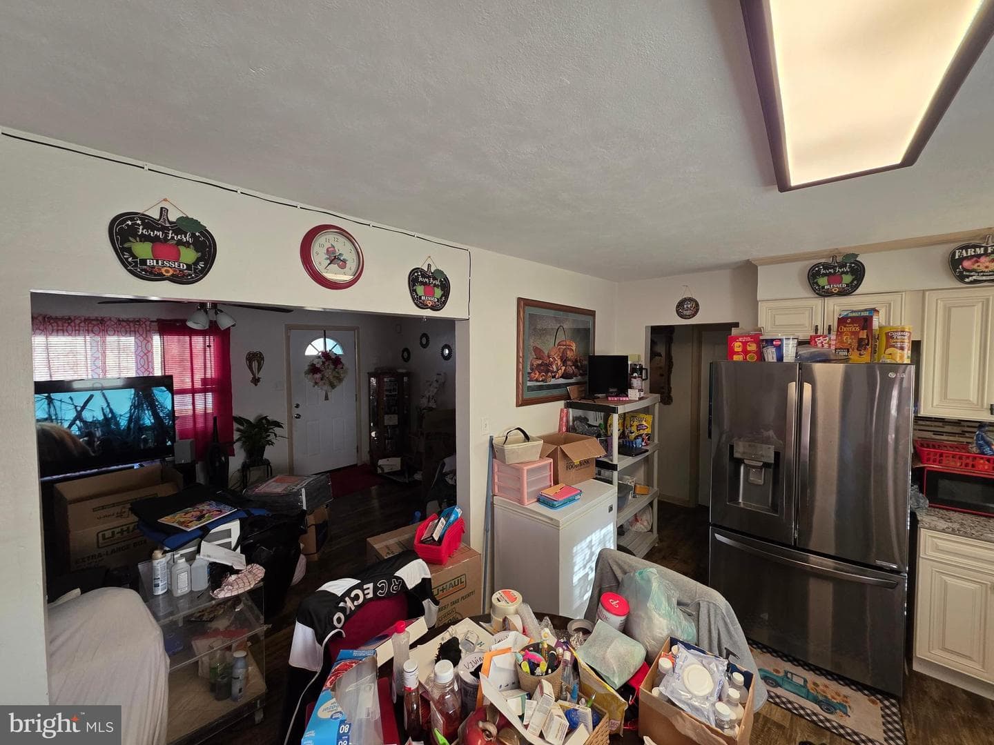 44 Springvale Road photo 28
