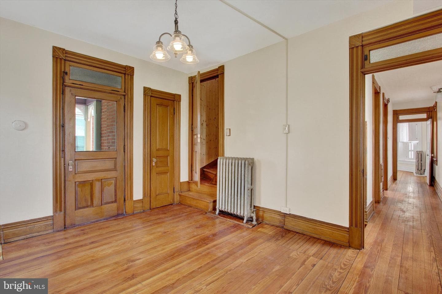 407 Carlisle Street photo 17