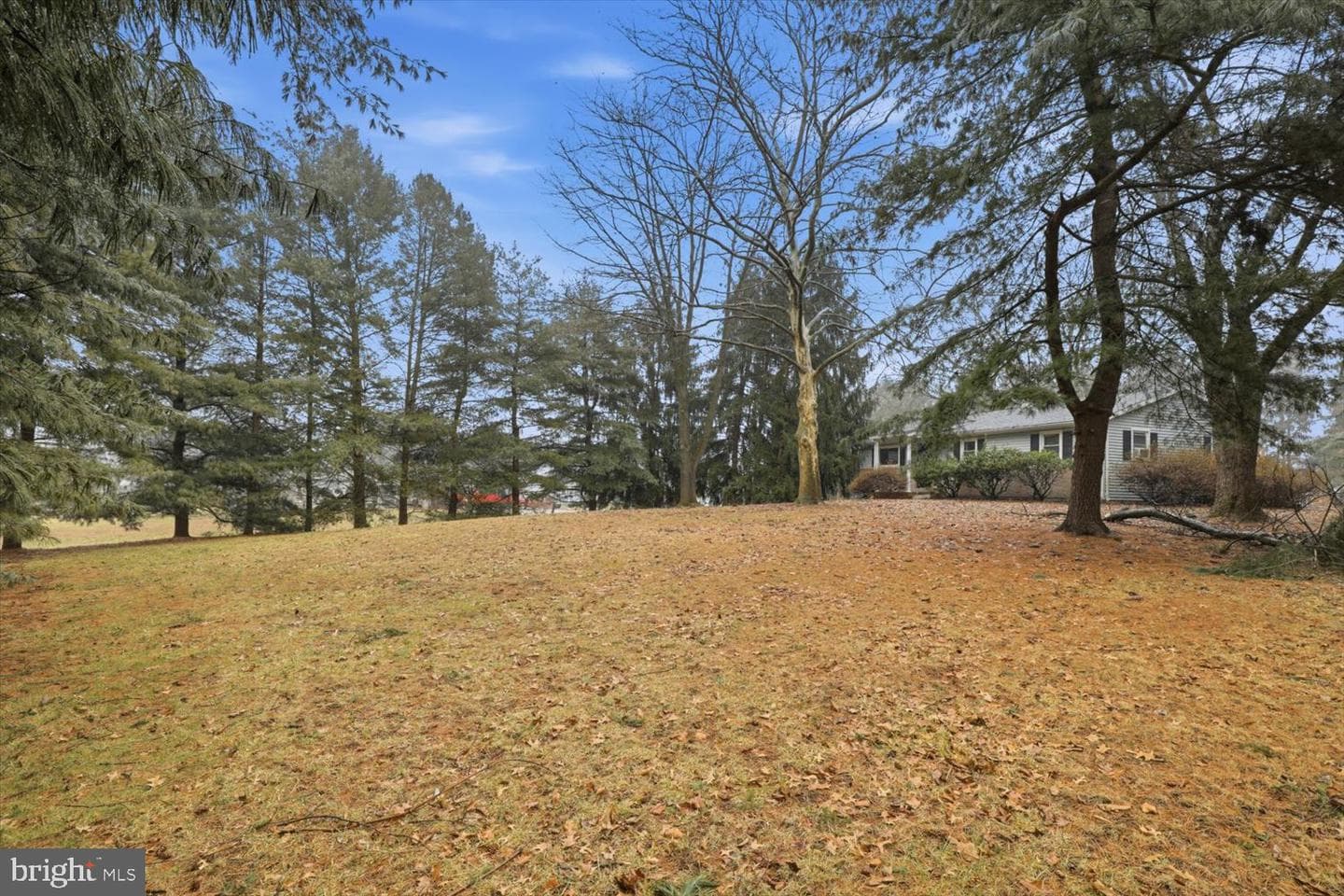 15 Catalina Drive photo 4