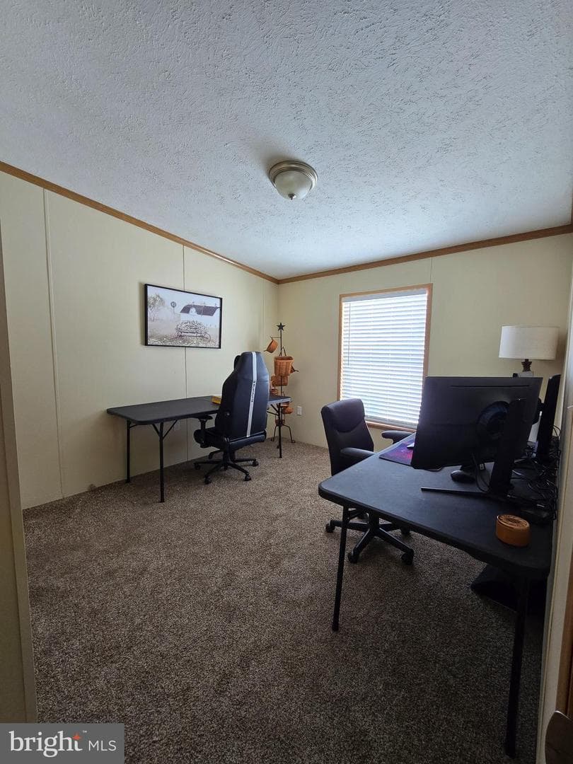 118 Lisa Circle photo 11