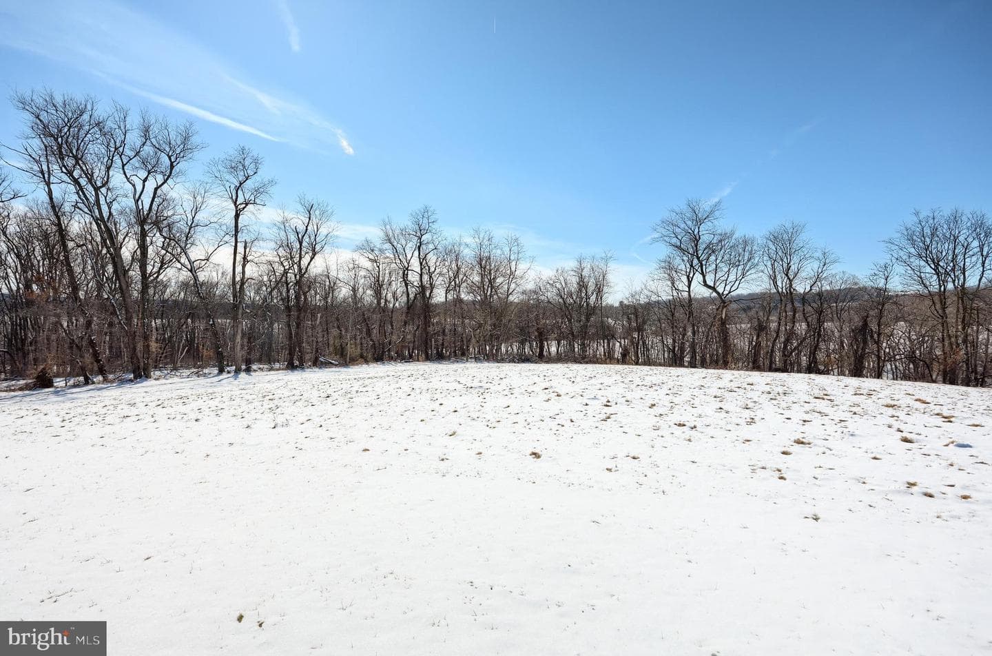 1198 Trinity North Road photo 34