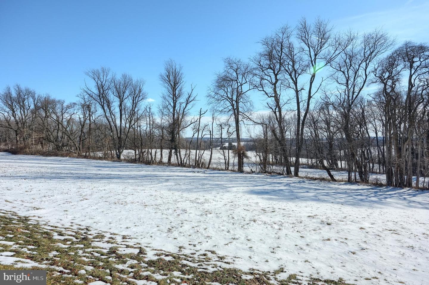 1198 Trinity North Road photo 36