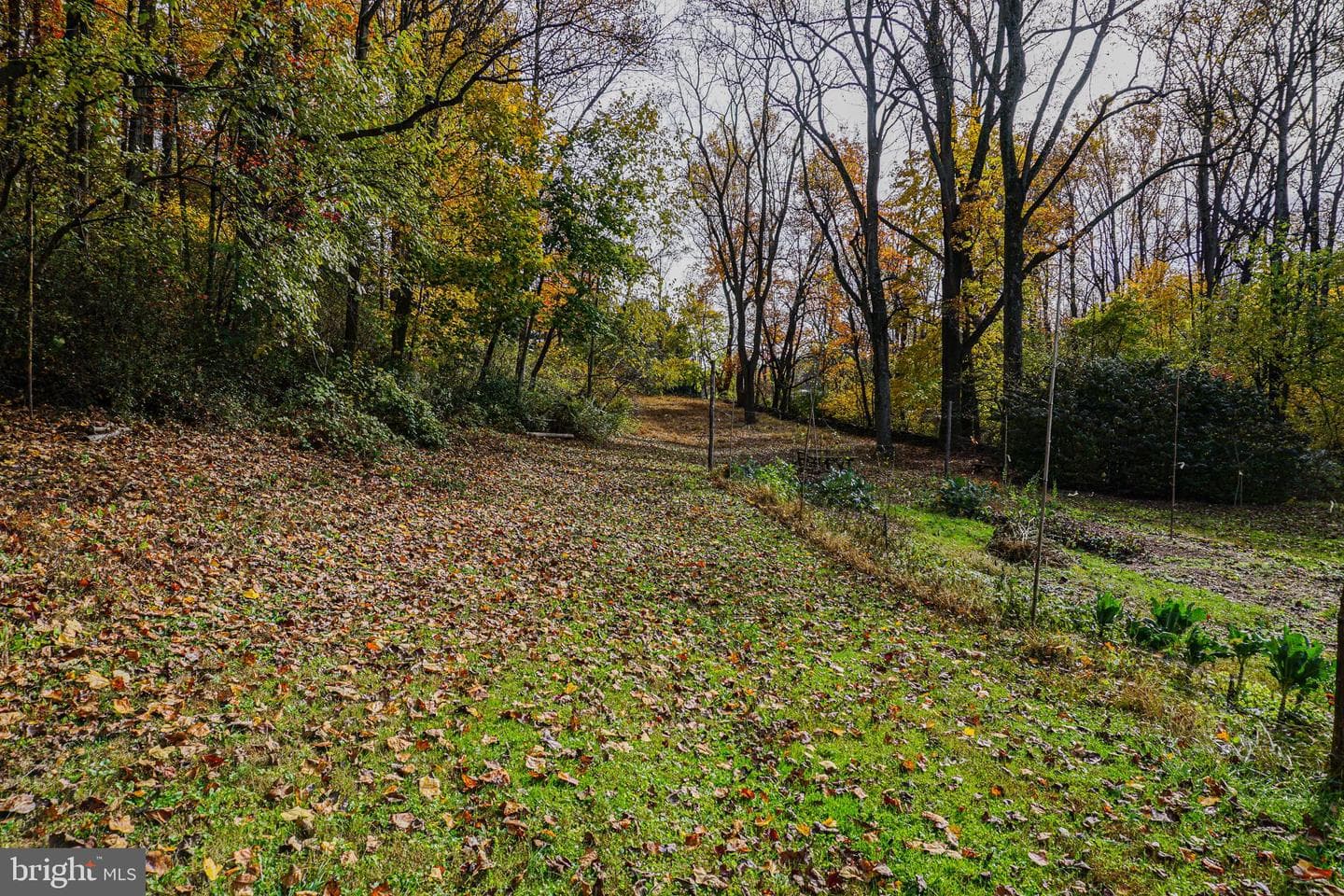 988 Kratz Road photo 95
