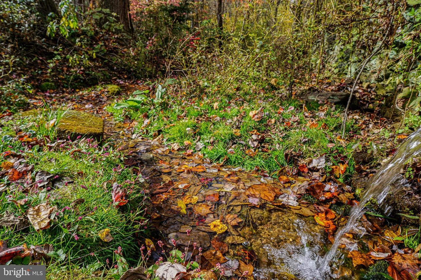 988 Kratz Road photo 96