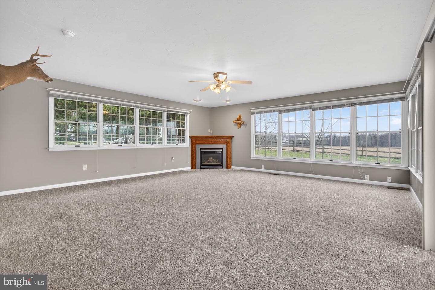 150 Yoe Drive photo 8