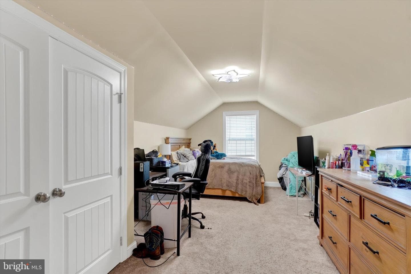 255 Andrew Drive photo 19