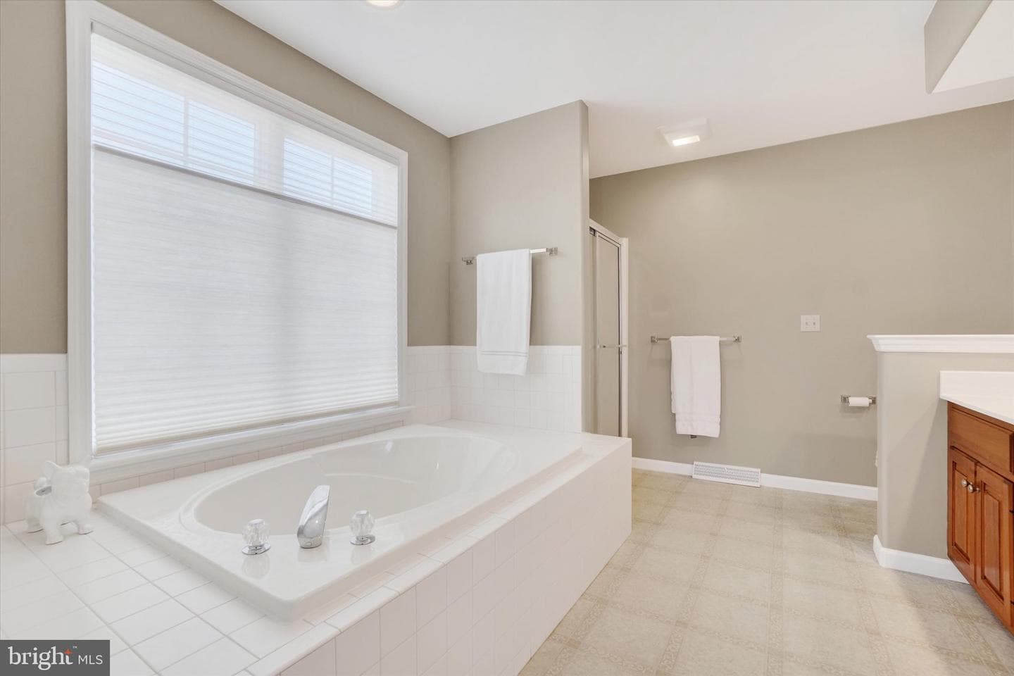 2727 Woodspring Drive photo 24