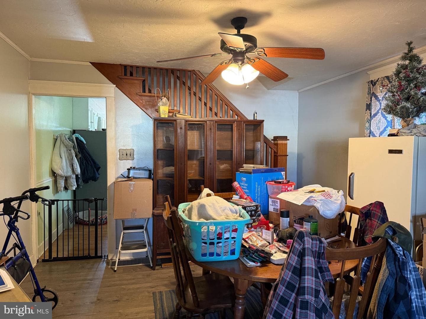547 Mcallister Street photo 7