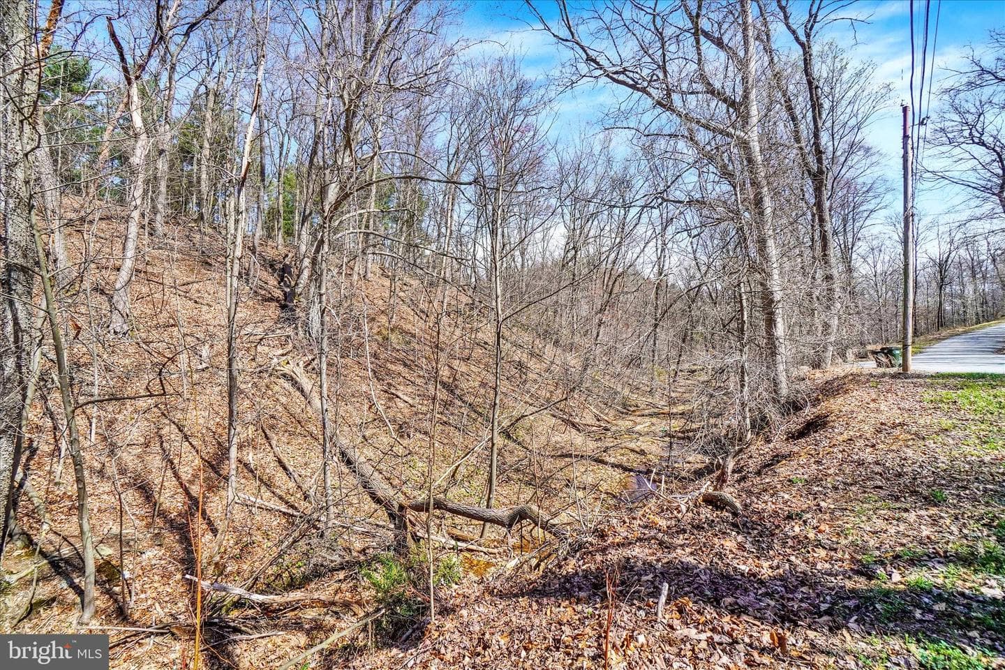 82 Fox Creek Road photo 29