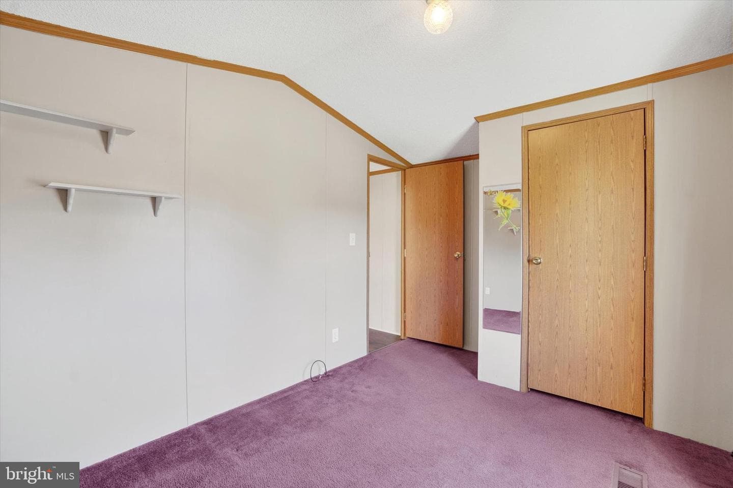 66 Alana Drive photo 19