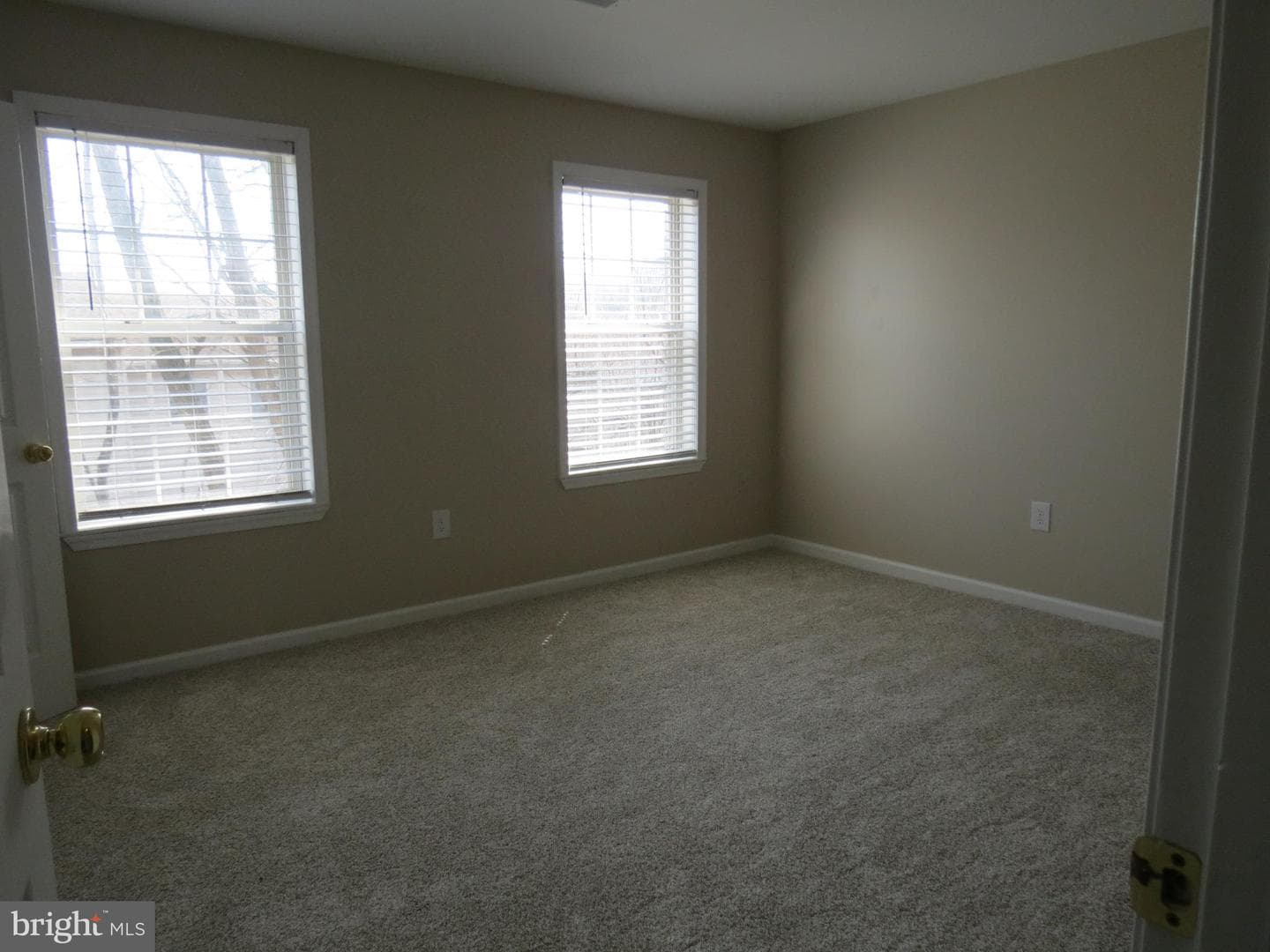 21 Red Barberry Drive photo 23