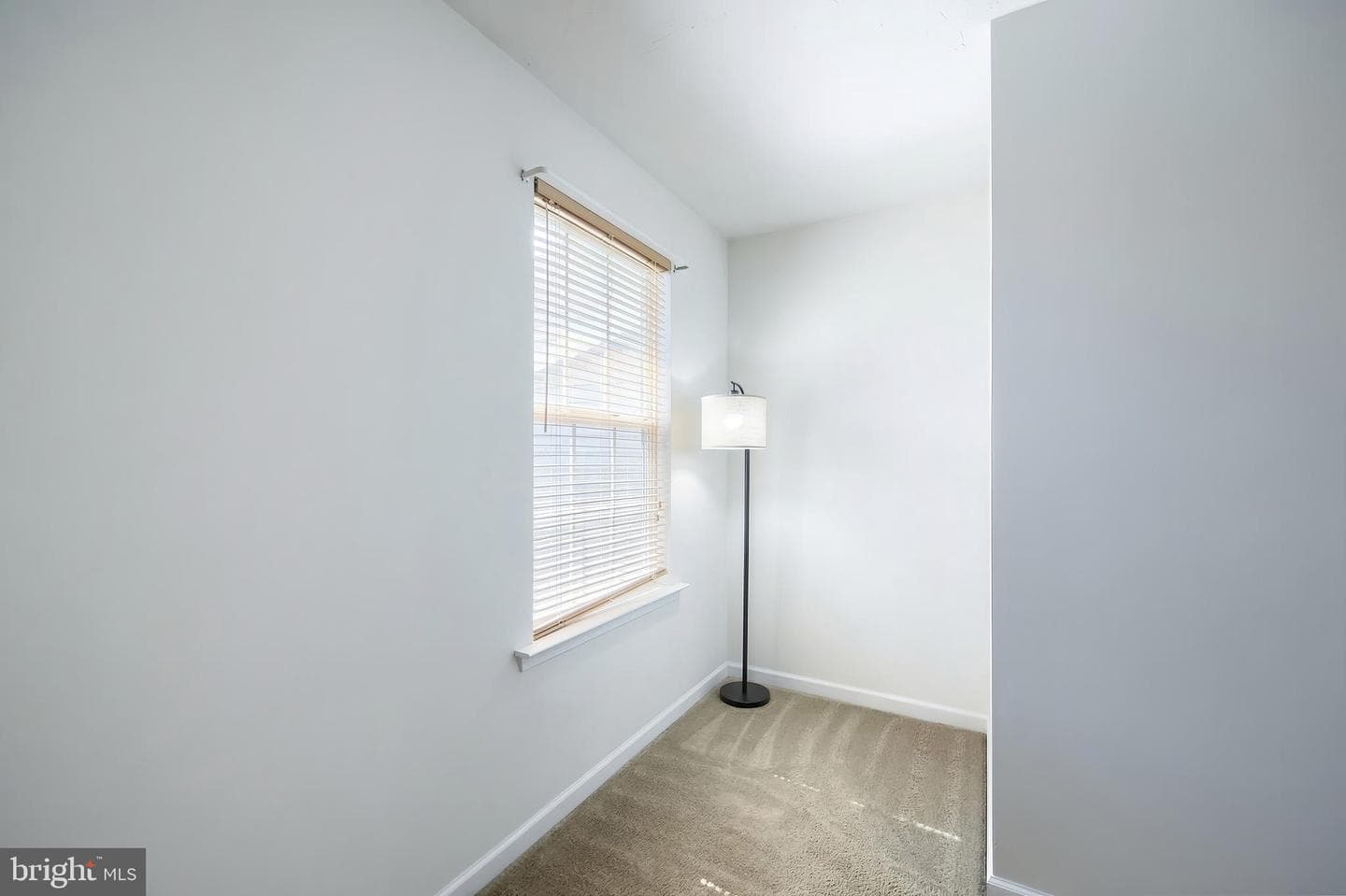 53 Zachary Drive photo 18