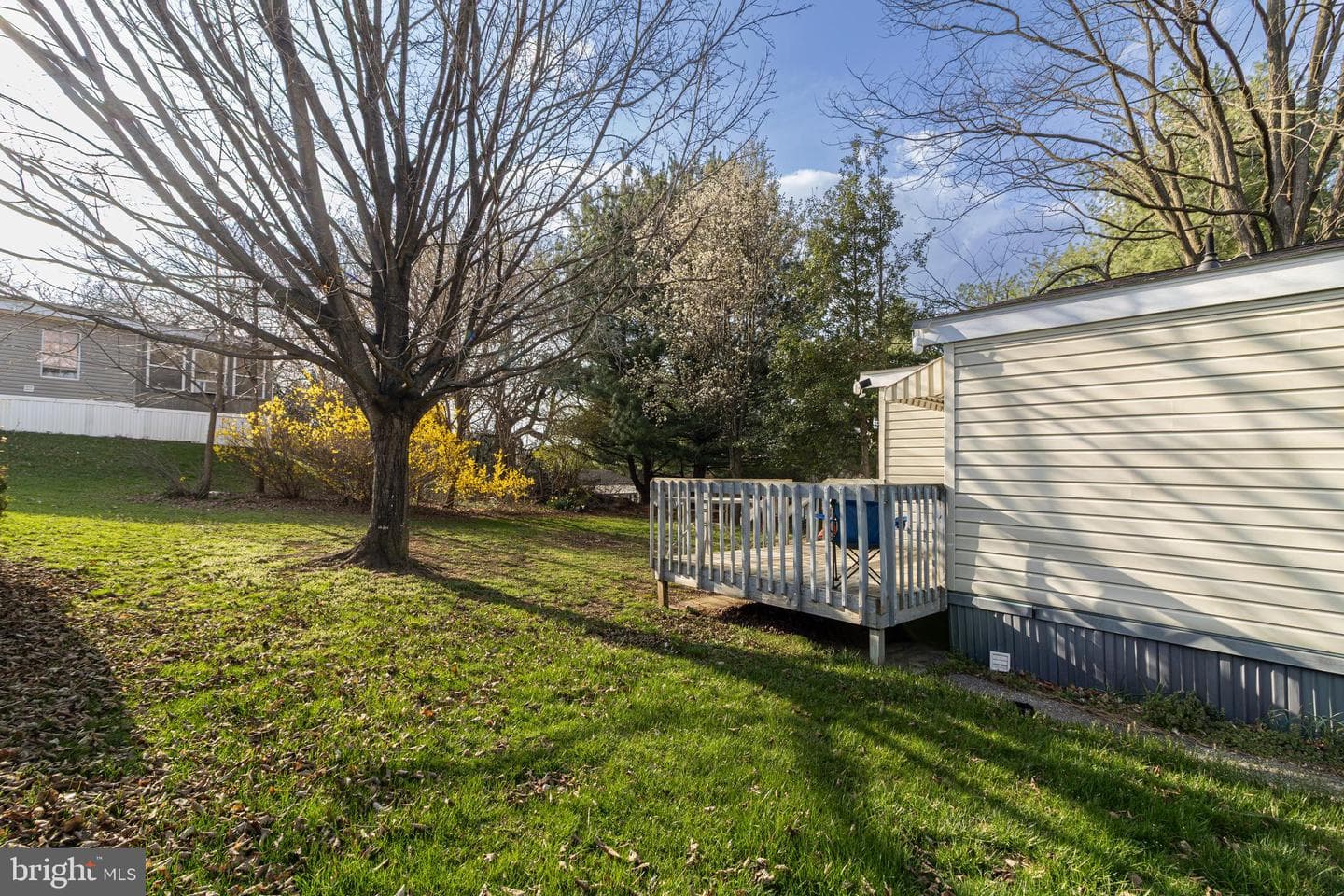 743 Shawna Ave photo 4