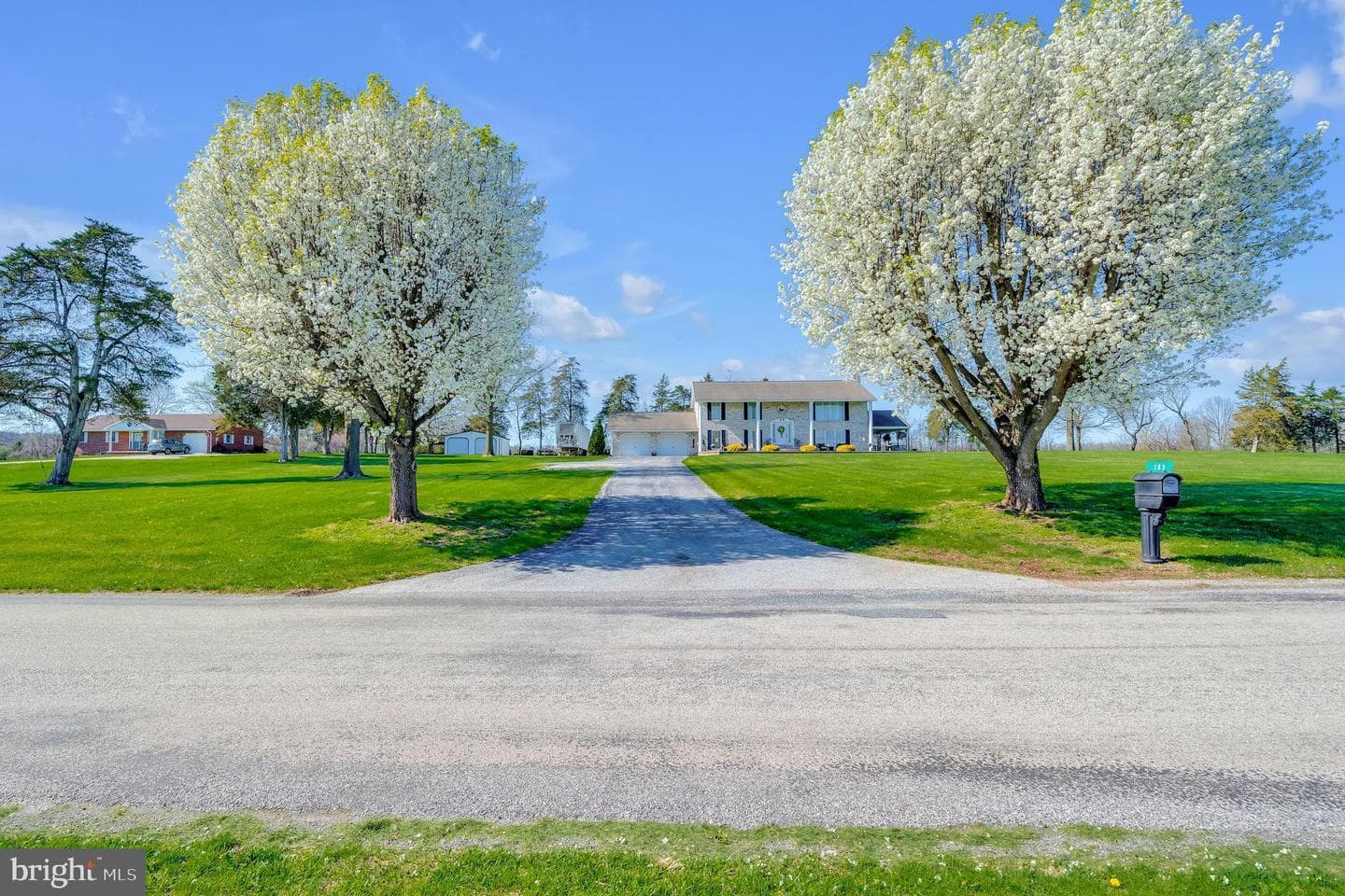 183 Roland Road photo 31