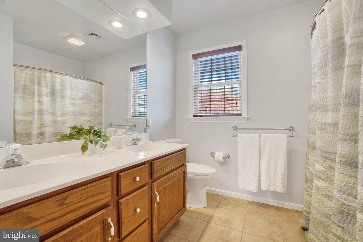 30 Frank Drive photo 17