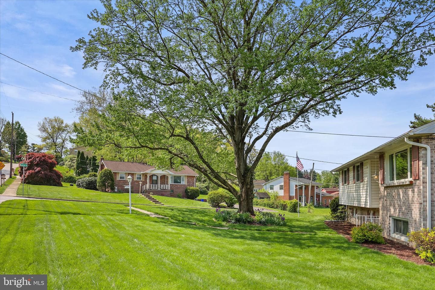 498 Maywood Road photo 5
