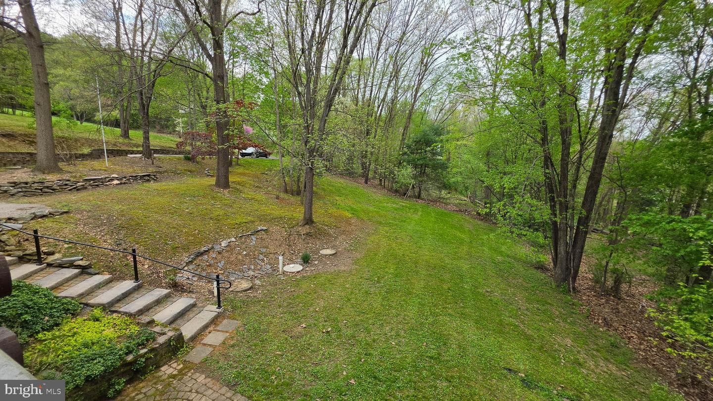 11311 Wildberry Court photo 10