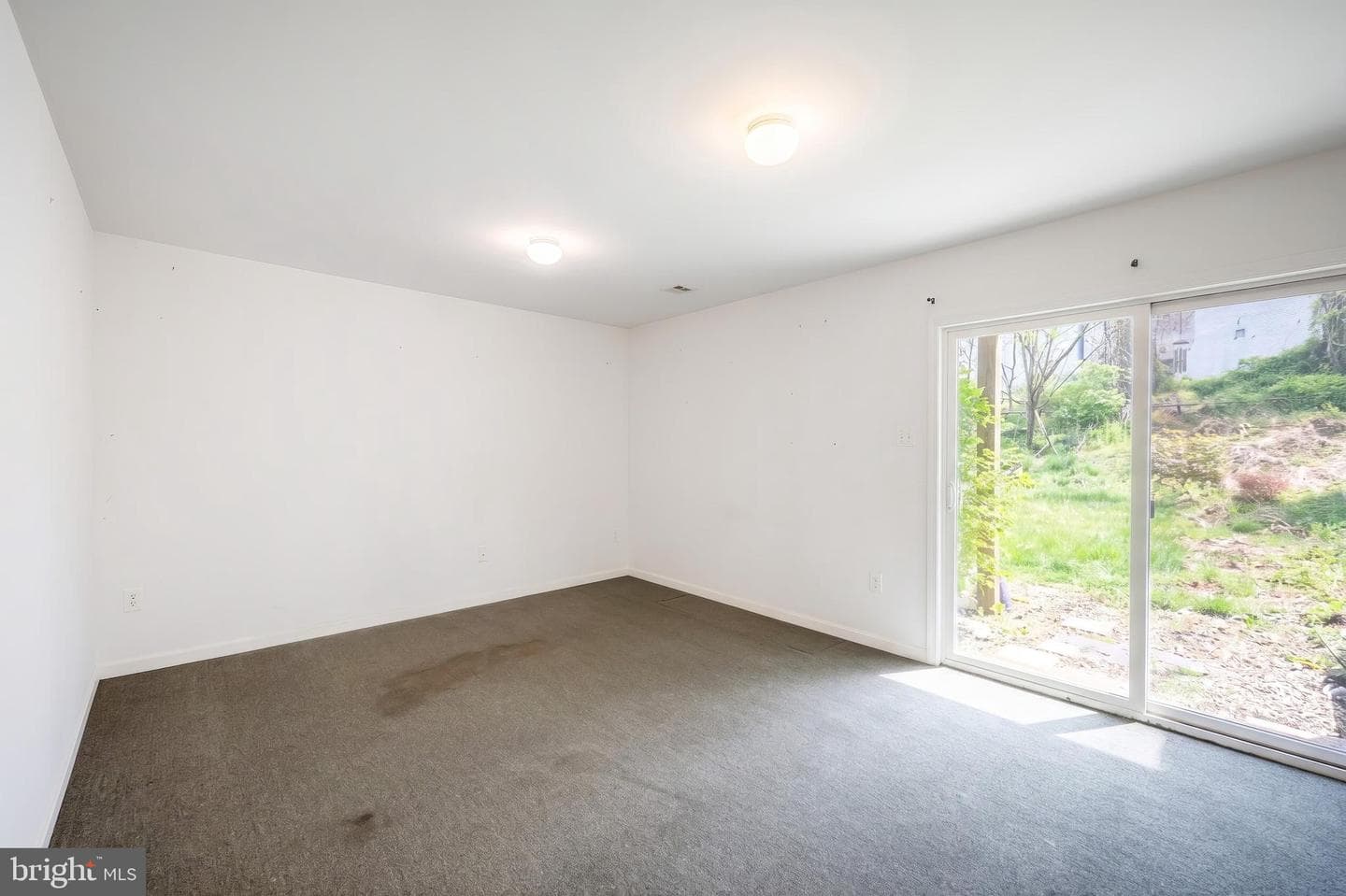 264 Country Ridge Drive photo 8