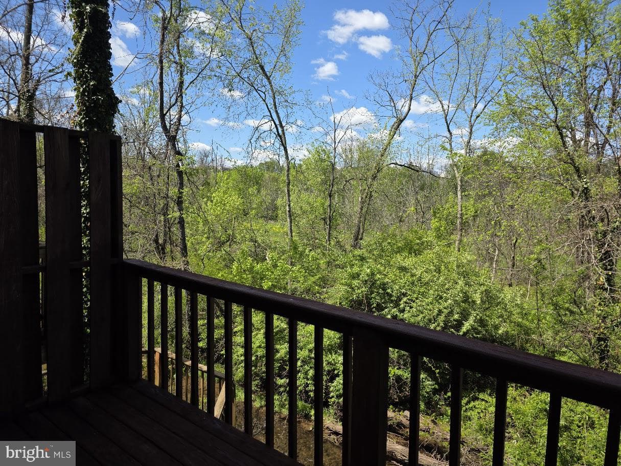 260 White Dogwood Drive photo 33
