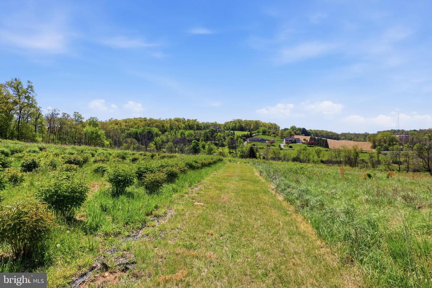 1689 Tolna Junction Lane photo 81