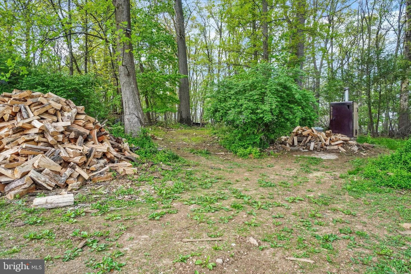 8272 Woodbine Road photo 30