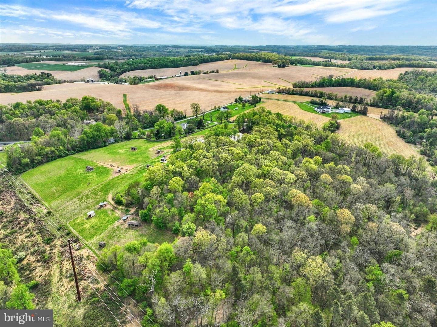 8272 Woodbine Road photo 37